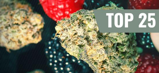 Las 25 Mejores Variedades De Marihuana Afrutadas [2025]