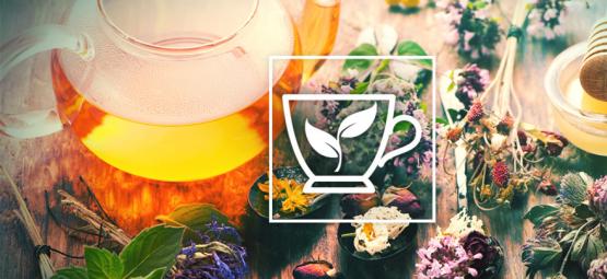 Las 10 Mejores Hierbas Para Preparar Infusiones