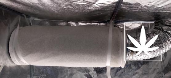 Cómo Utilizar Filtros De Carbón Para Controlar El Olor De La Marihuana
