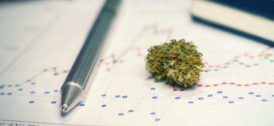 Los pros (y contras) de consumir cannabis para estudiar o entrenar