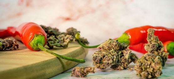 Los Sorprendentes Beneficios De Combinar Marihuana Y Guindilla
