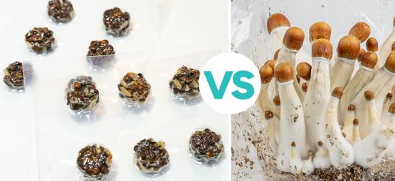 Trufas y setas alucinógenas: ¿Cuáles son mejores?