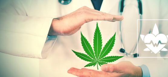 ¿Cuál Es La Mejor Manera De Consumir Marihuana Medicinal?