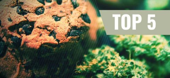 Las 5 Mejores Recetas De Galletas De Marihuana