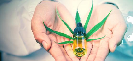 ¿Qué Es El CBG Y En Qué Se Diferencia Del CBD?