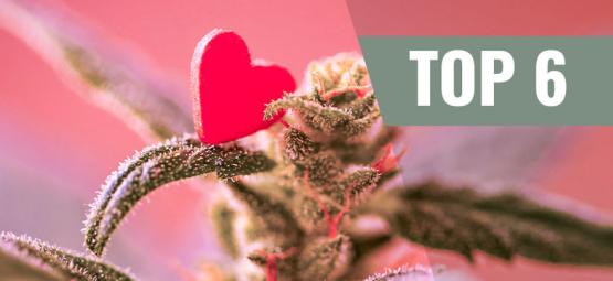 Las 6 Variedades De Cannabis Para El Día De San Valentín 