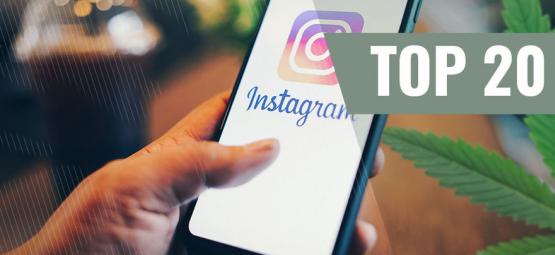 Los 20 Mejores Perfiles Cannábicos De Instagram [2024]