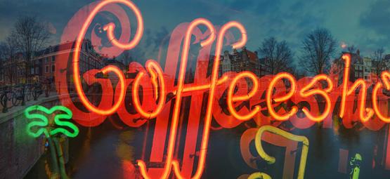 Visita De Zamnesia A Los Coffeeshops De Ámsterdam