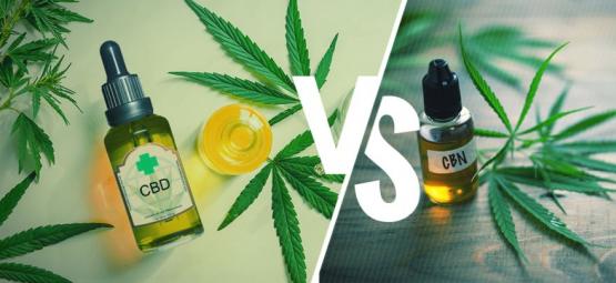 CBD Y CBN: ¿En Qué Se Diferencian?