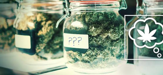 ¿Cómo Debemos Denominar Las Variedades De Cannabis Del Futuro?
