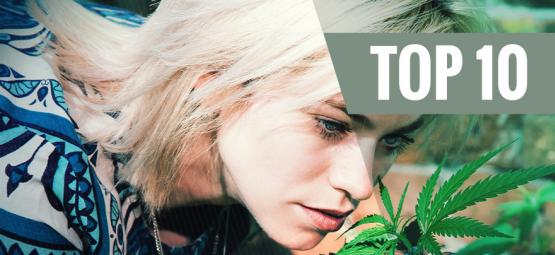 Top 10 De Variedades De Cannabis Poco Aromáticas