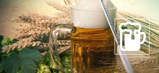 Entender El Hidrómetro: El Secreto Para Elaborar Una Gran Cerveza