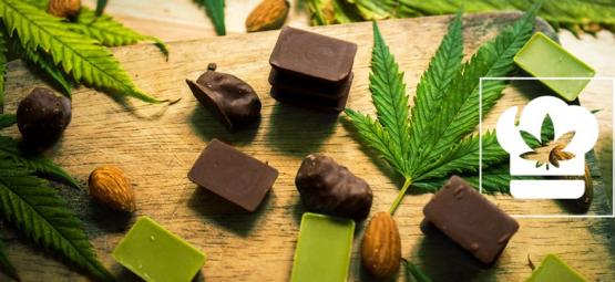 Cómo Hacer Chocolate De Cannabis