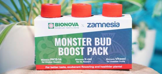 Usa Monster Bud Boost Pack Para Cultivar Mejores Cogollos De Marihuana