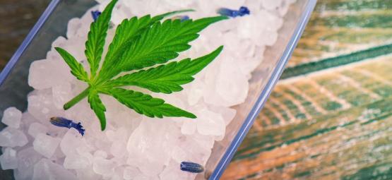 Cómo Hacer Sal De Marihuana Para Preparar Comestibles Fácilmente