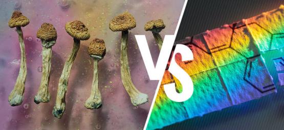 Setas Alucinógenas Vs LSD: ¿En Qué Se Diferencian?