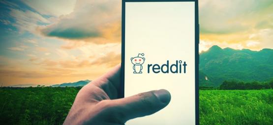 Top 10 De Comunidades De Reddit Sobre Cannabis