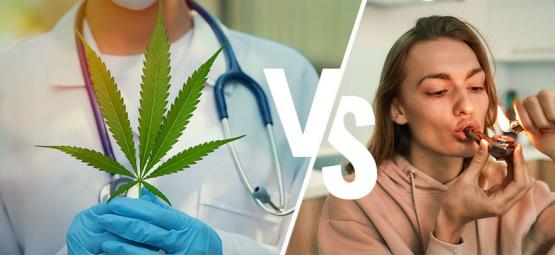 Marihuana Medicinal Y Recreativa: ¿En Qué Se Diferencian?