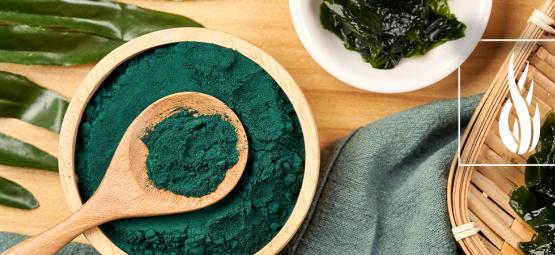 Todo Lo Que Necesitas Saber Sobre La Espirulina