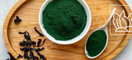 ¿Es La Chlorella El Nuevo Superalimento?