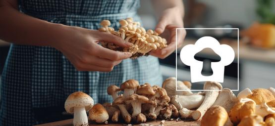 ¿Cuáles Son Las Mejores Setas Para Comer?