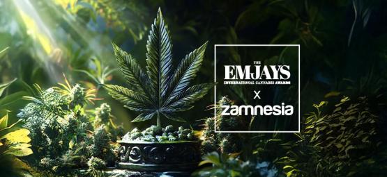 The Emjays - International Cannabis Awards: Zamnesia Gana A Lo Grande