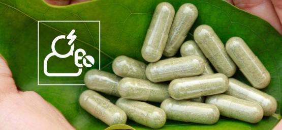 Seguridad y efectos secundarios del kratom: Todo lo que debes saber