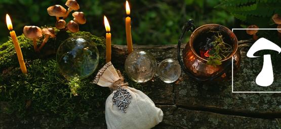 ¿Quiénes eran los druidas? ¿Consumían setas alucinógenas?