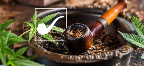 ¿Es marihuana la hoja del Valle Largo de El Señor de los Anillos?