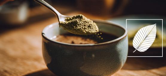 ¿Se puede mezclar kratom con café? Cómo podría influir en tus mañanas