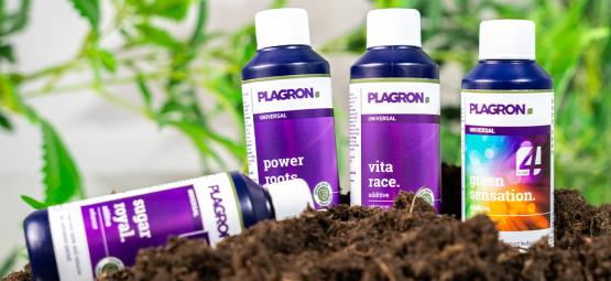 Los mejores fertilizantes ecológicos para cultivar marihuana