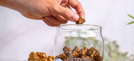 ¿Cómo se conservan las trufas mágicas?