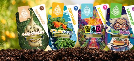 Te damos la bienvenida al Sector Z: Variedades de marihuana clasificadas