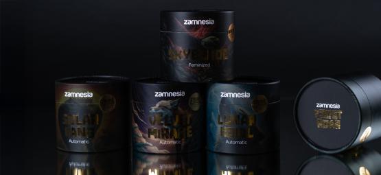 TRIBE en Zamnesia: Cultiva lo raro, lo audaz, lo legendario