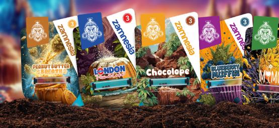 Especial variedades: Sugar Valley