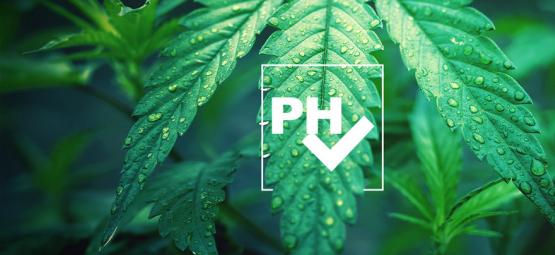 Cómo Ajustar El Valor De pH Al Cultivar Cannabis