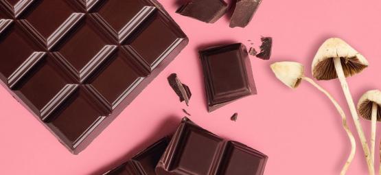 Cómo Hacer Chocolate Con Setas Alucinógenas