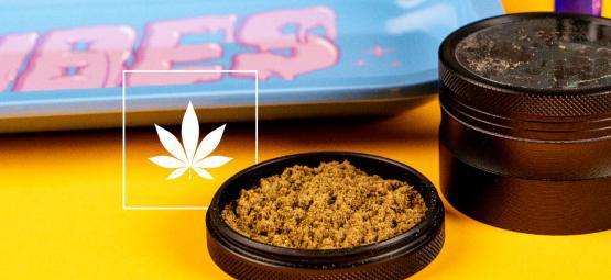 Kief: ¿Qué Es Y Cómo Se Obtiene?