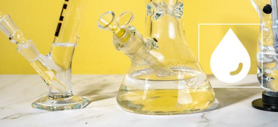 ¿Se Filtra El THC En El Agua Del Bong?
