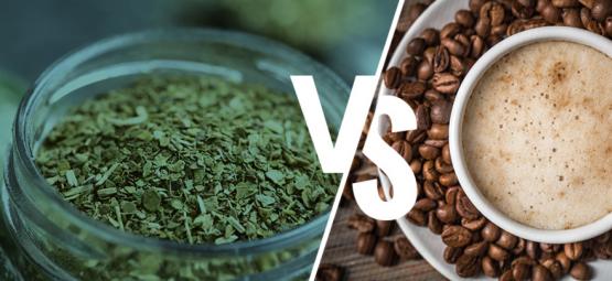 Yerba Maté Vs. Café