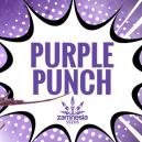 Purple Punch: Sabor, Potencia Y Belleza &ndash; Todo En Una Cepa