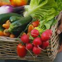 Top 10 De Frutas Y Verduras F&aacute;ciles De Cultivar