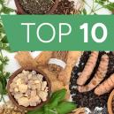 Los 10 colocones legales m&aacute;s extra&ntilde;os