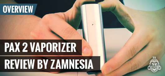 Vaporizador Pax2 de Ploom