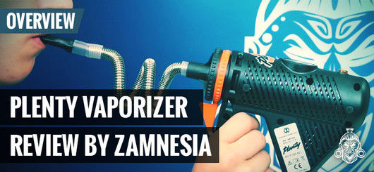 Reseña De Zamnesia Del Vaporizador Plenty