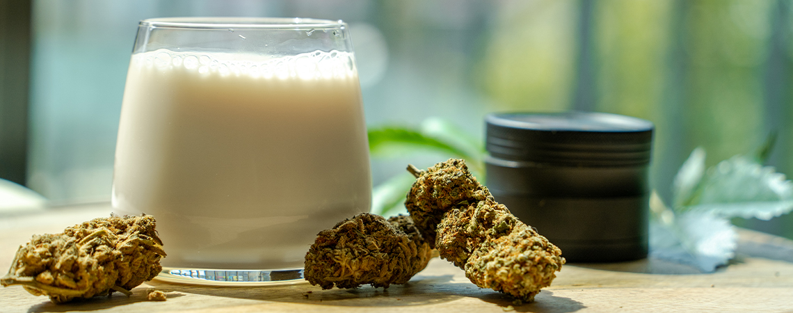 Cómo Hacer Leche De Cannabis Cómo Hacer Leche De Cannabis