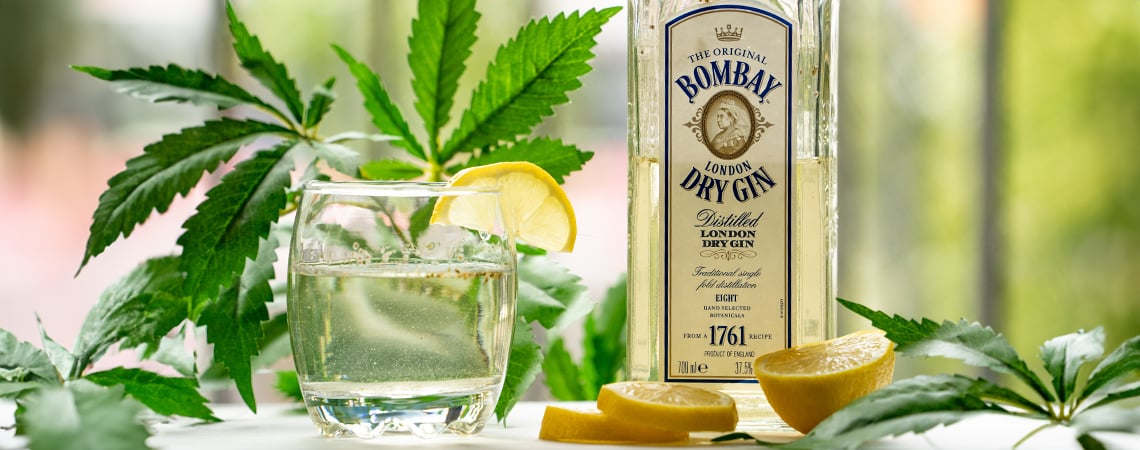 Cómo hacer ginjah: un gin-tonic de marihuana