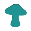 Top 5 Magic Mushrooms